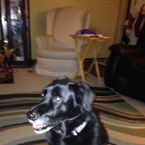 Meet your Posher, Melissa